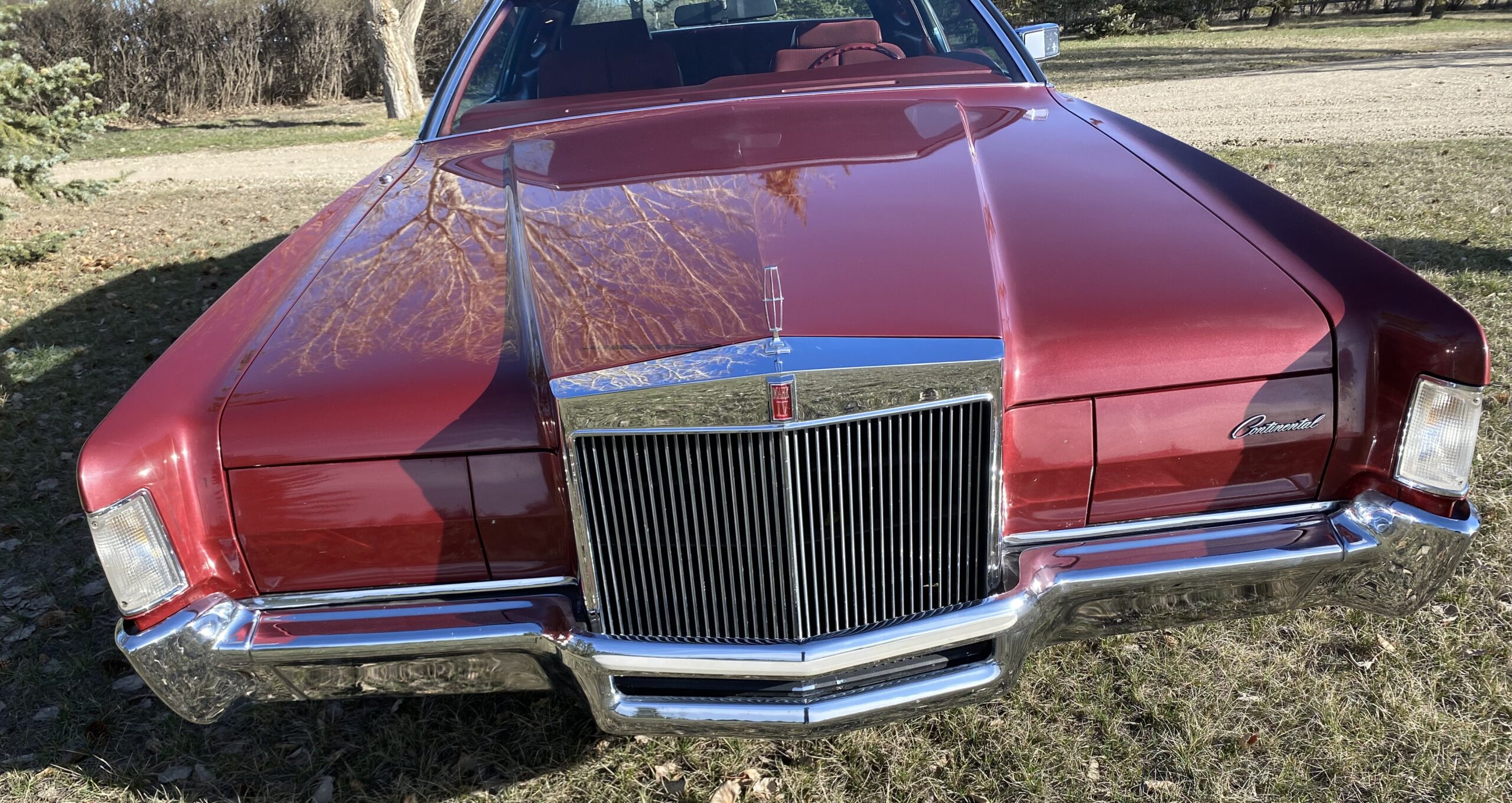 Photo 2024-04-13, 9 08 52 AM